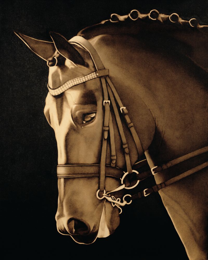 Stud 3 artwork
