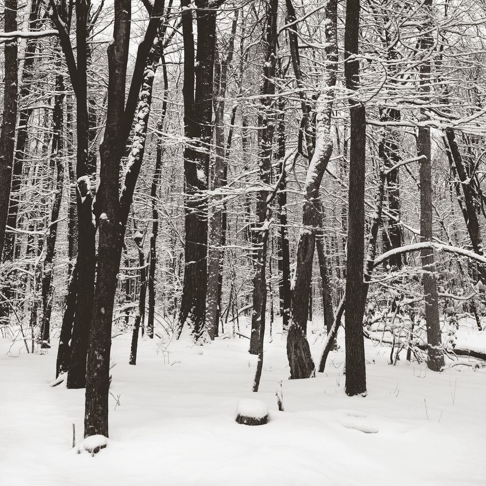 Snowscape 5 artwork