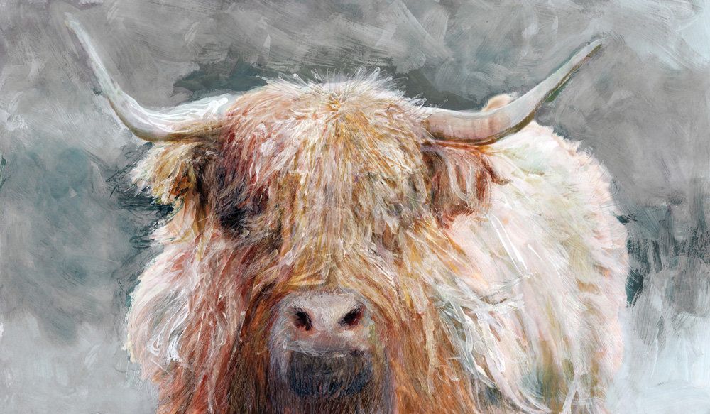 Study of a Longhorn 1 artwork