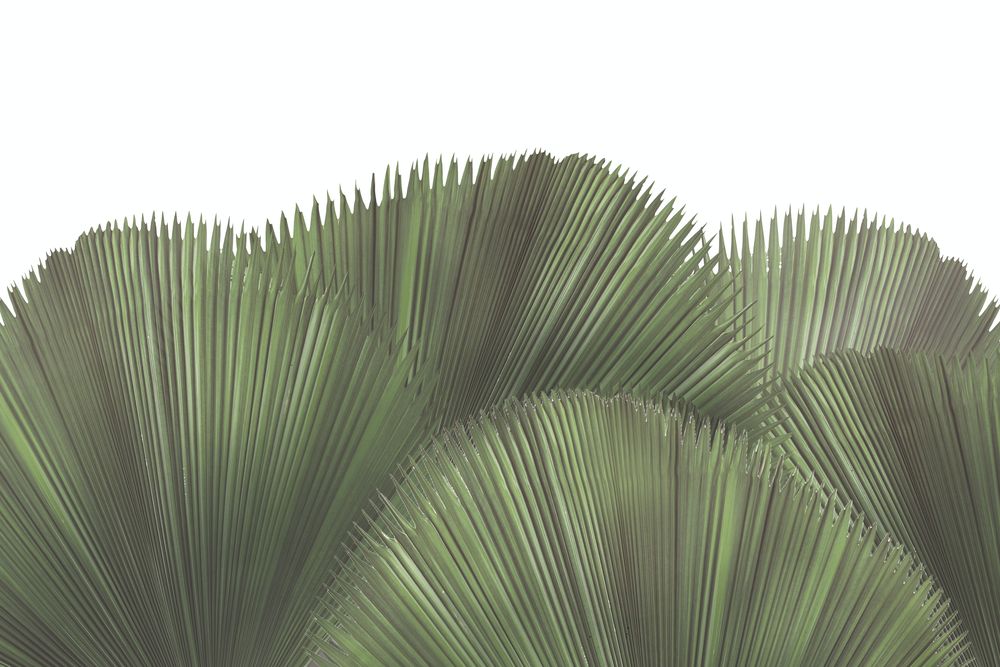 Tropical Leaves 3 artwork