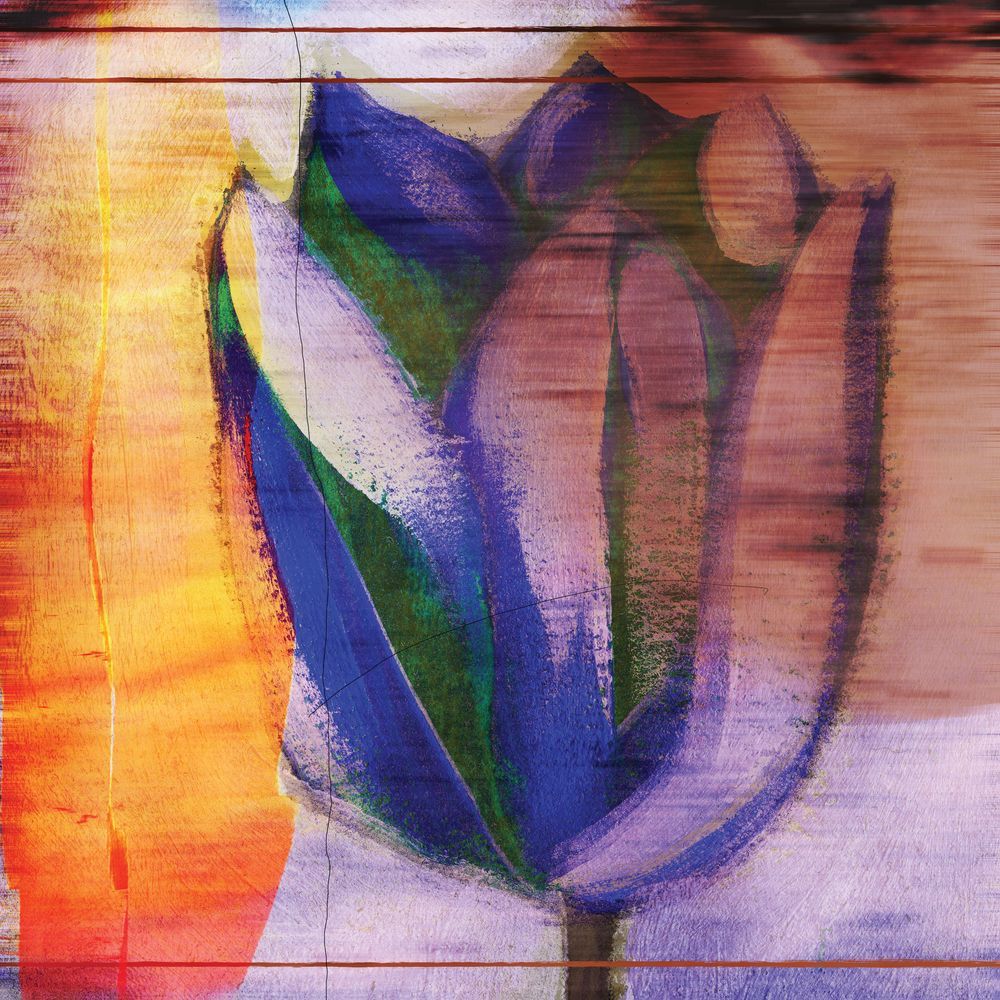 Vivid Beginning 1 artwork