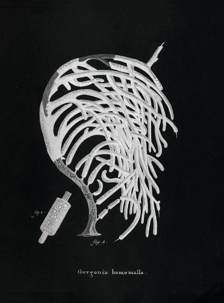 Briny Deep 2 artwork