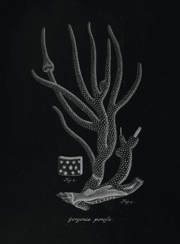 Briny Deep 3 artwork