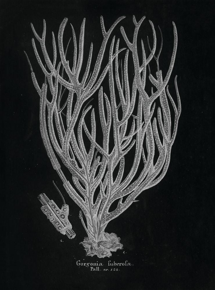 Briny Deep 4 artwork