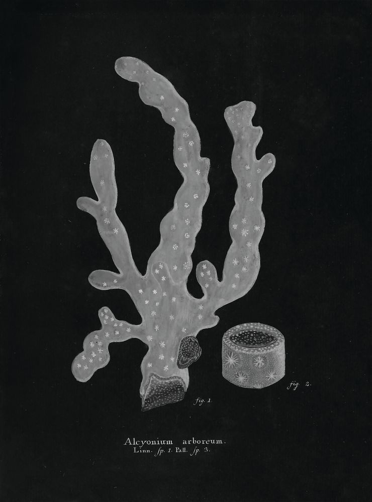 Briny Deep 6 artwork