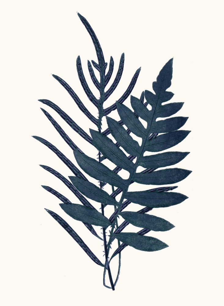 Bracken Blues 3 artwork