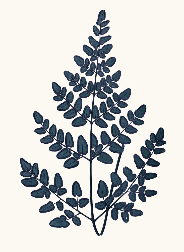 Bracken Blues 4 artwork