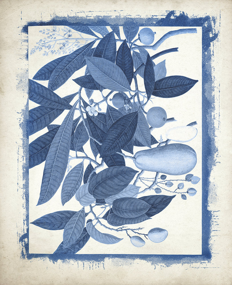 Botanicals Recast in Blue 2 artwork