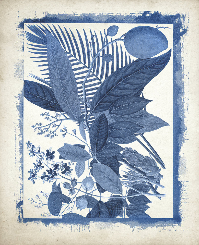 Botanicals Recast in Blue 6 artwork