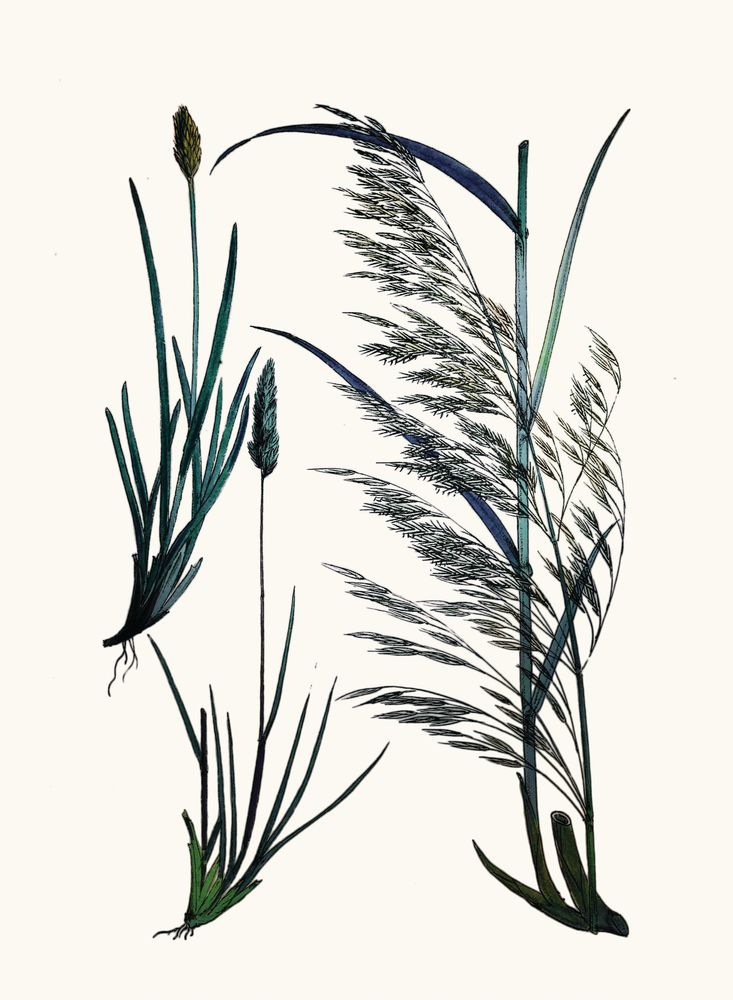 Careful in Contemplation 4 — artwork