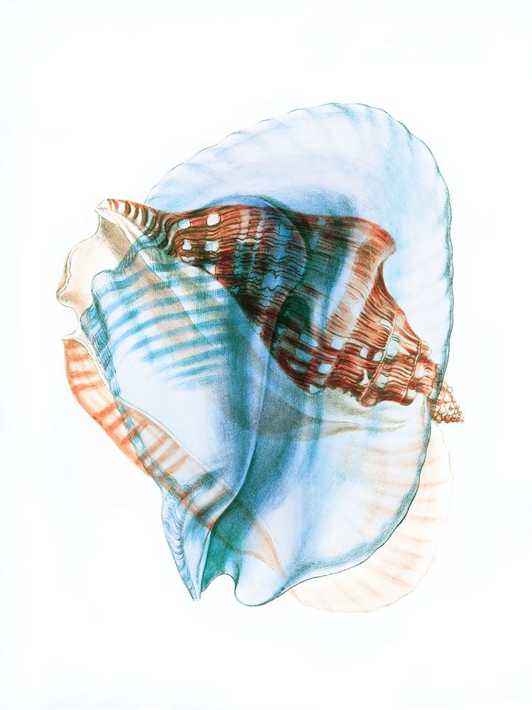 Colors of the Sea 1 artwork