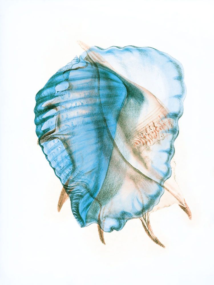 Colors of the Sea 2 artwork