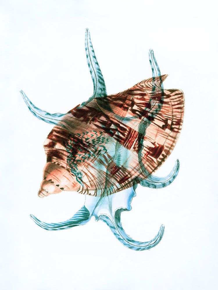 Colors of the Sea 3 artwork