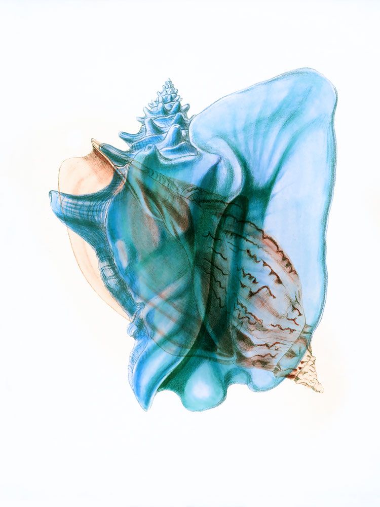 Colors of the Sea 4 artwork