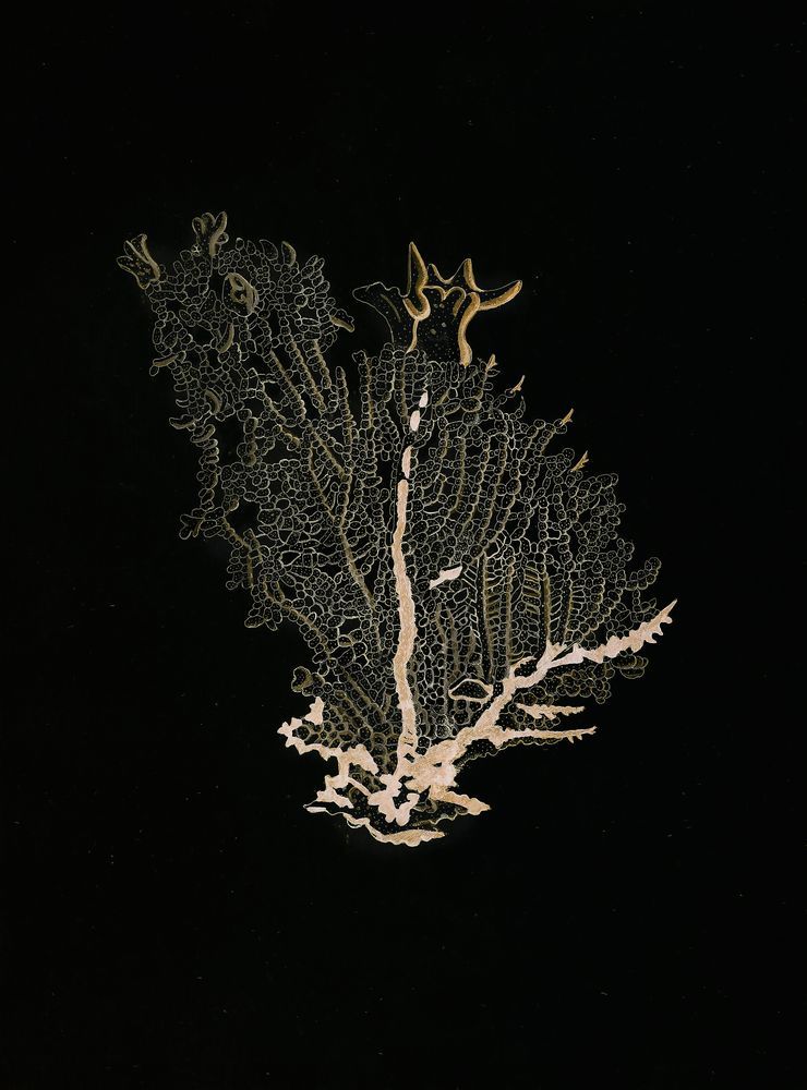 Deep Calm 4 artwork
