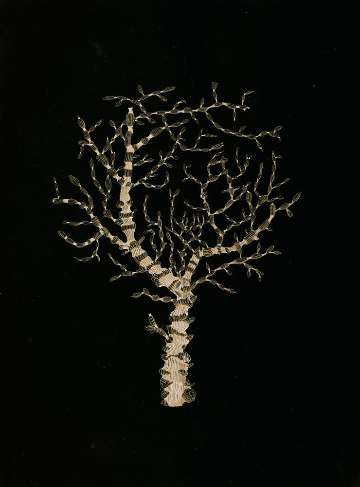 Deep Calm 6 artwork