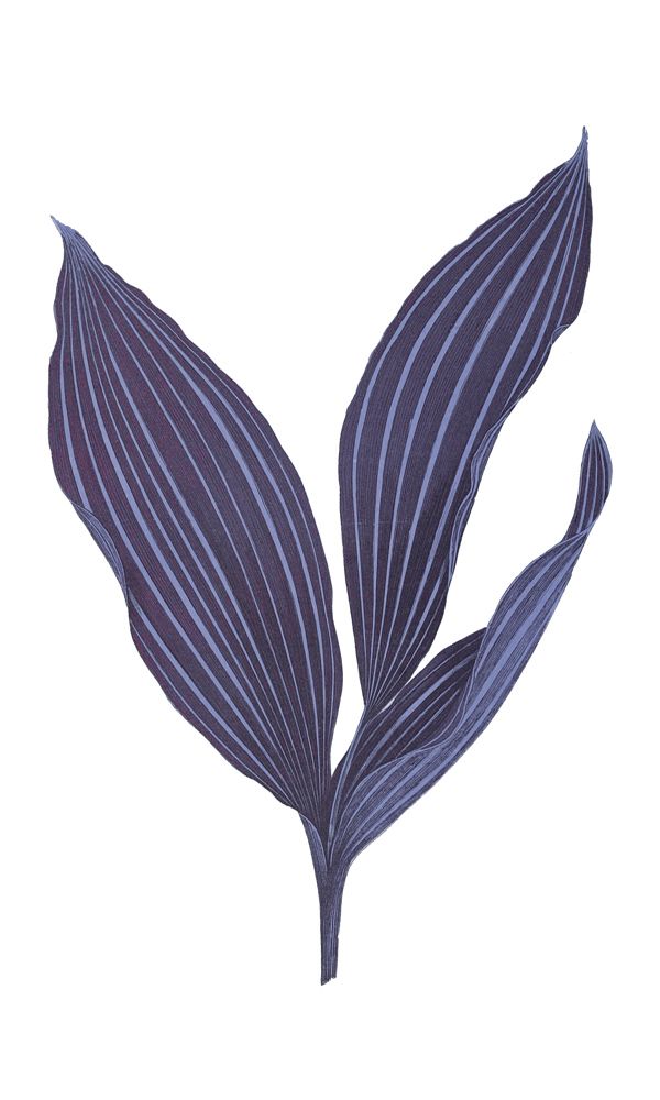 Daily Wish Blue 1 artwork