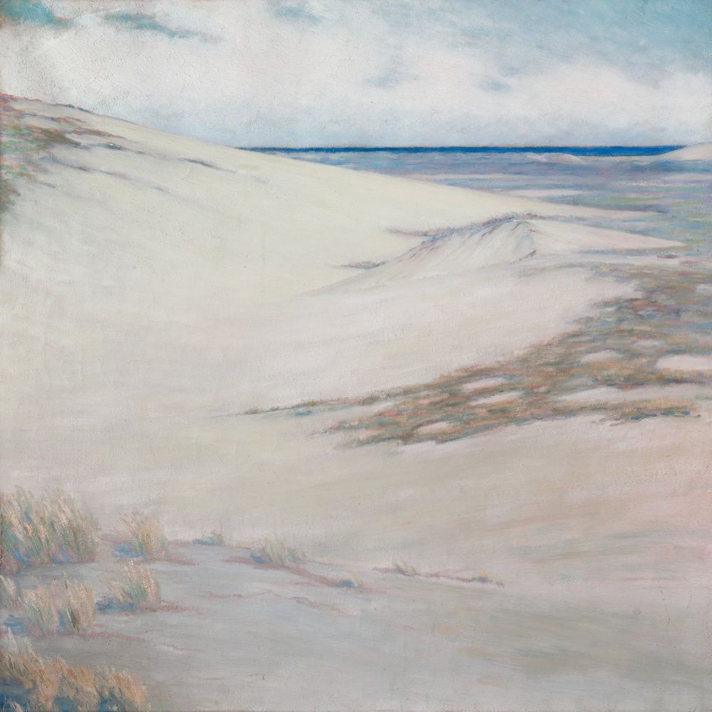 Dunes by the Water 1 artwork