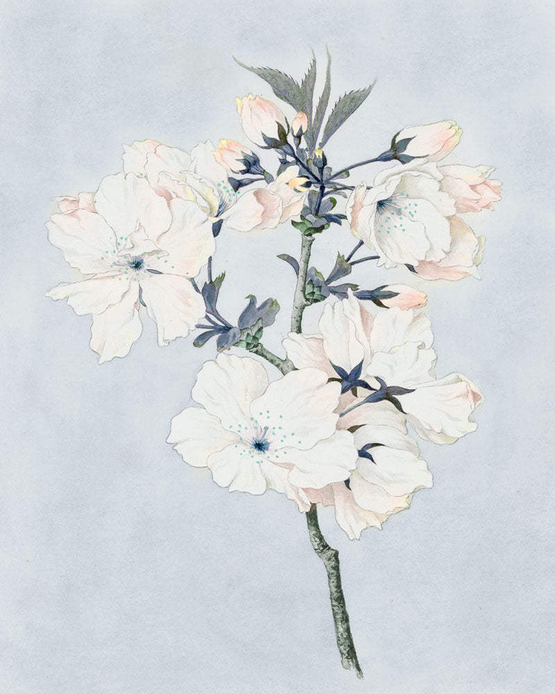 Delicate Flower Branch 1 artwork