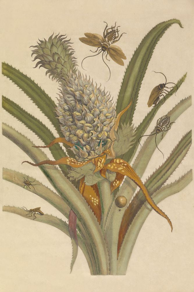 Enticing Bud 1 artwork