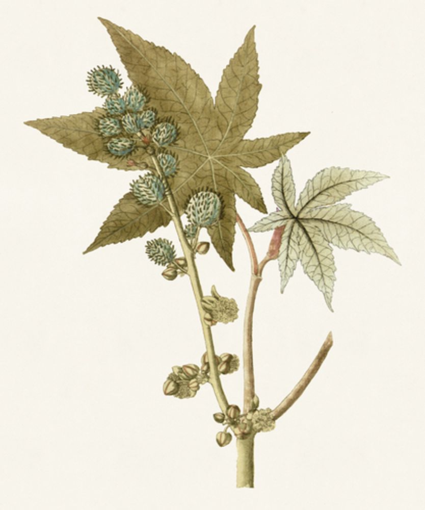 Garden Treasures 2 artwork