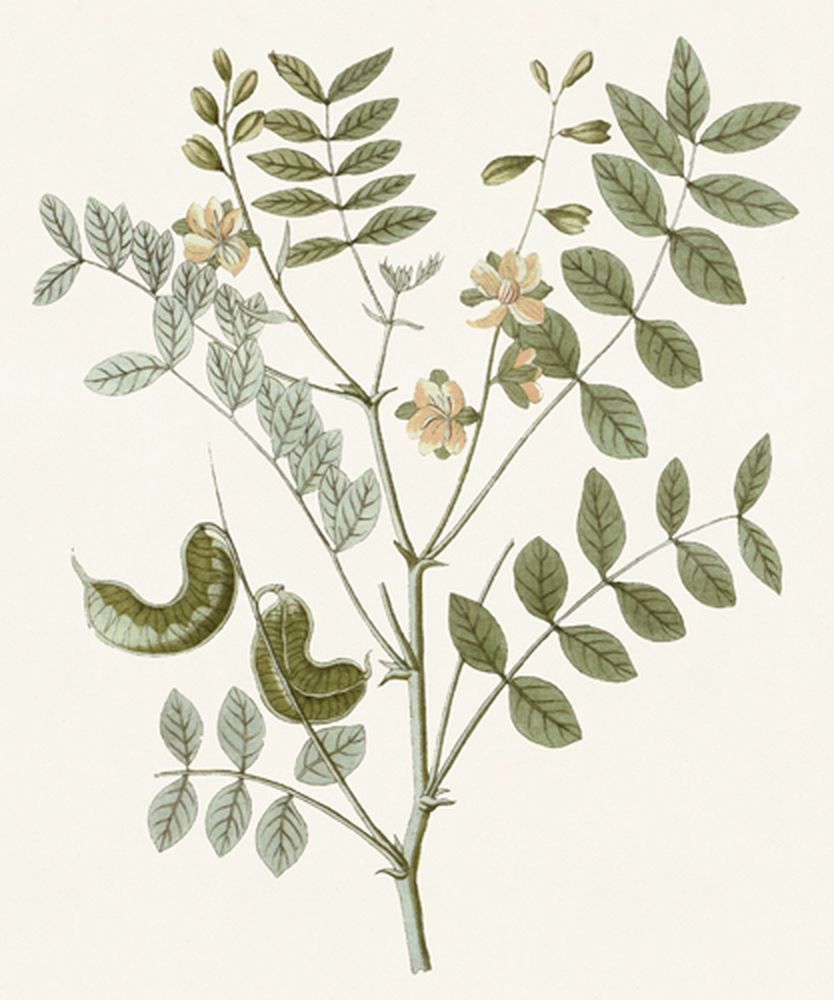 Garden Treasures 3 artwork