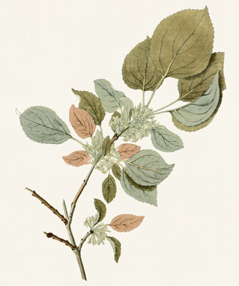 Garden Treasures 6 artwork