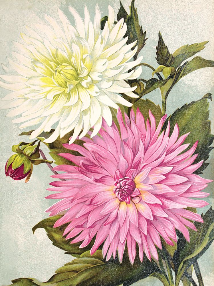 Jewel Blooms 1 artwork