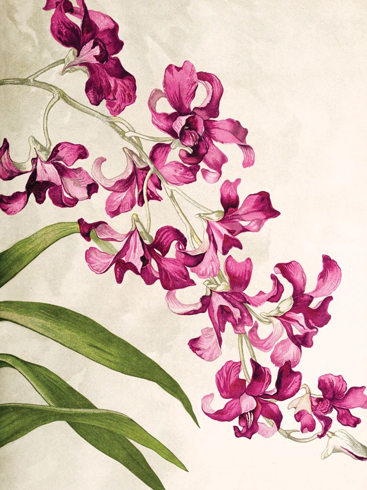 Jewel Blooms 4 artwork