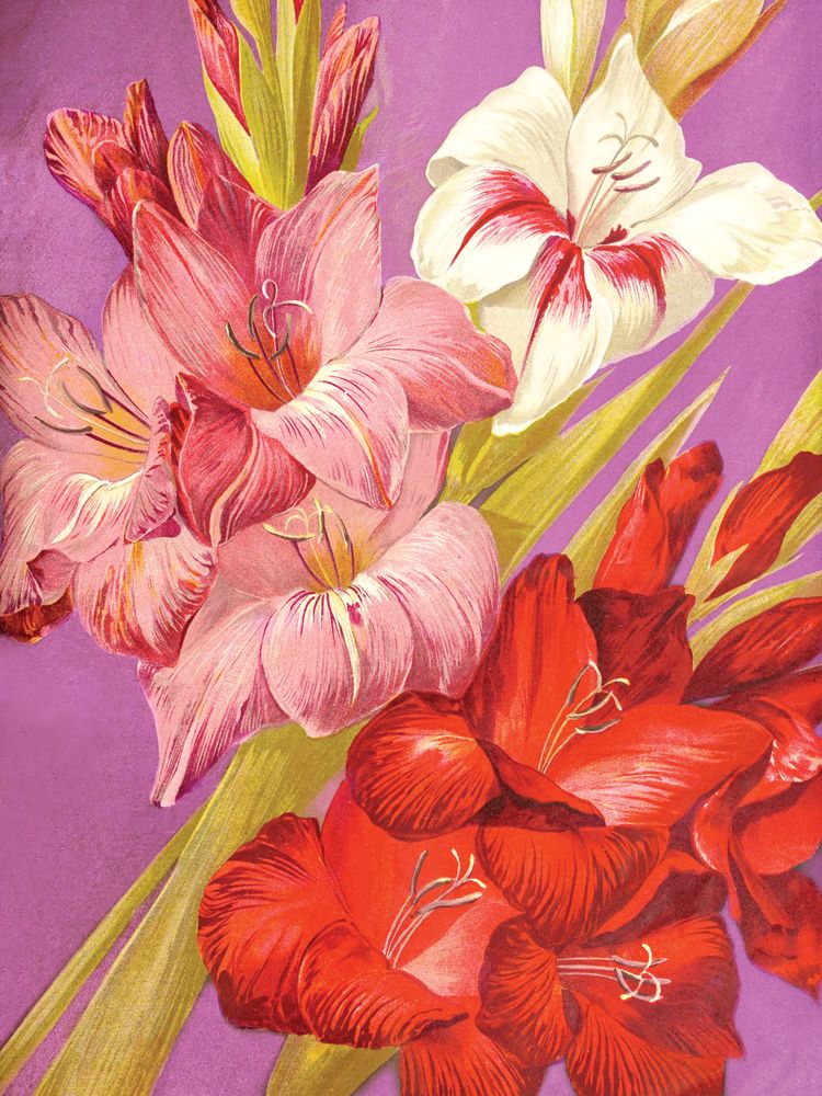 Jewel Blooms 5 artwork