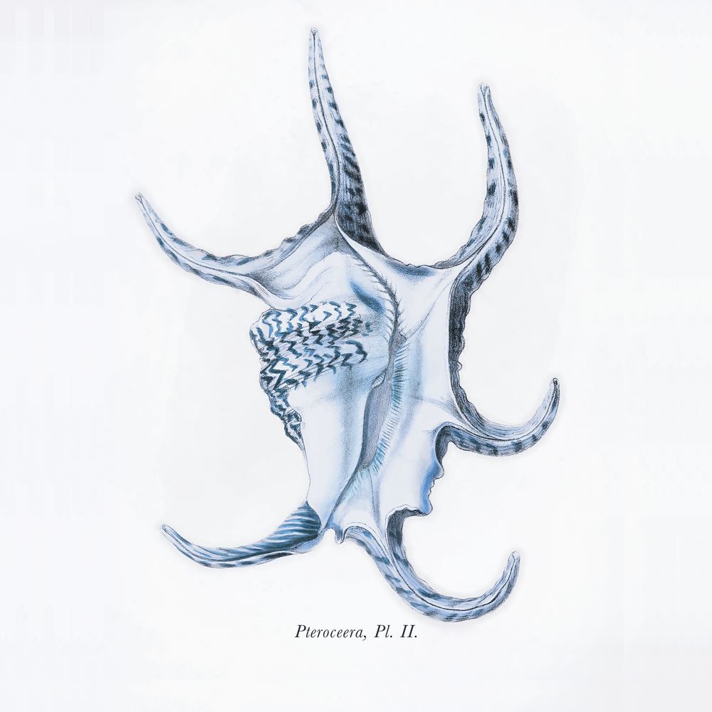 Listen To Me 2 artwork
