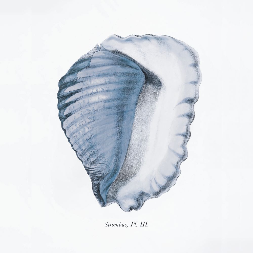 Listen To Me 4 artwork
