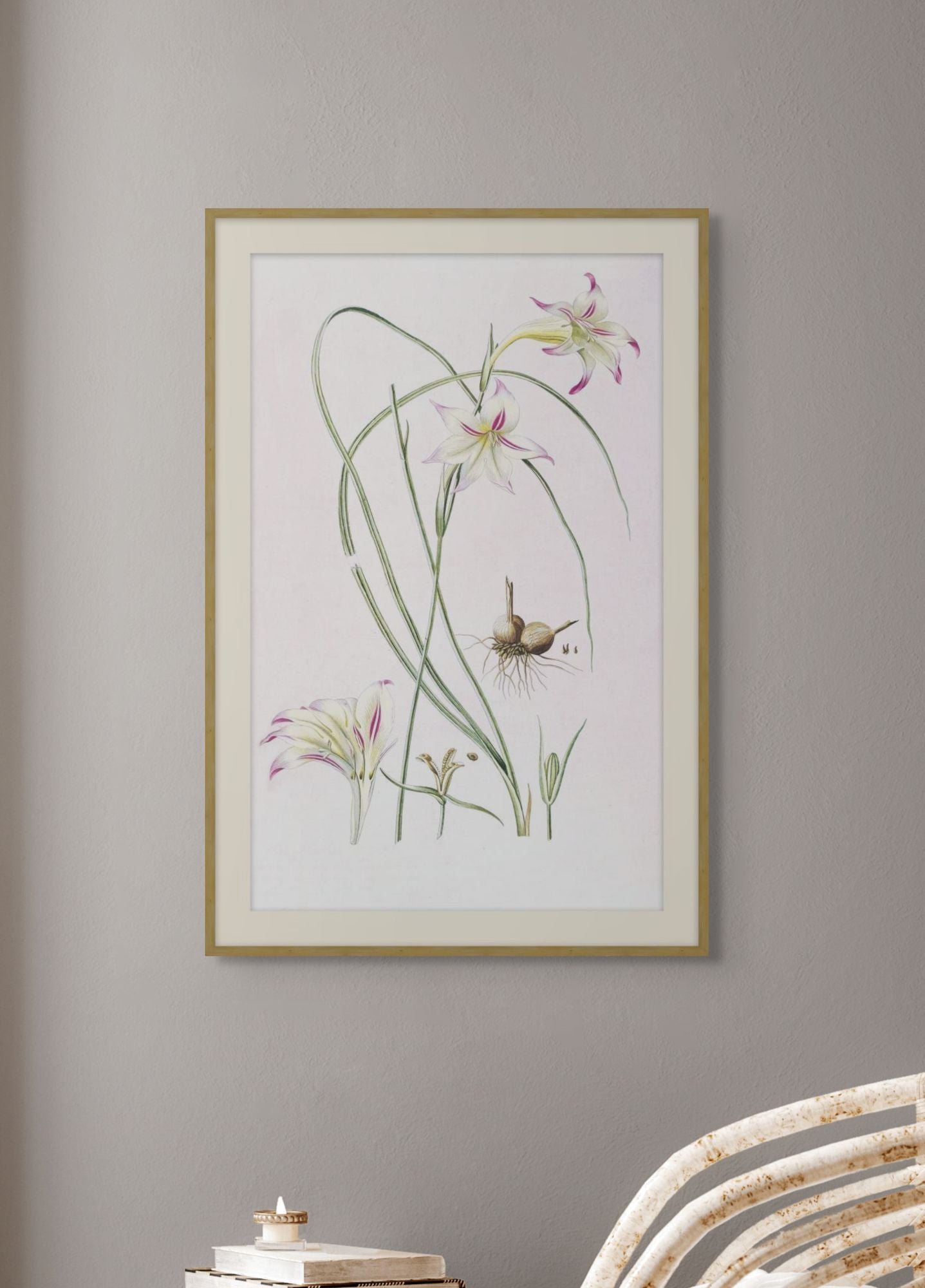 Lilium 1 detail