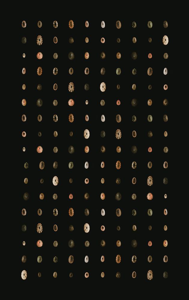 Melange 2 artwork