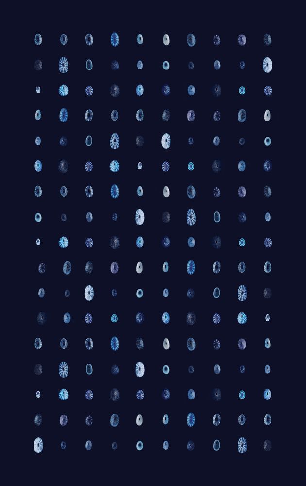 Melange 4 artwork