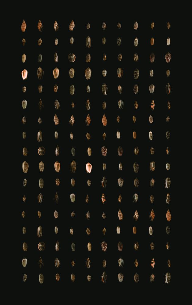 Melange 6 artwork