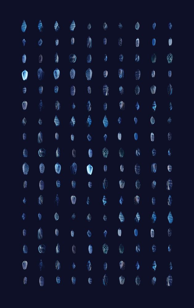 Melange 8 artwork