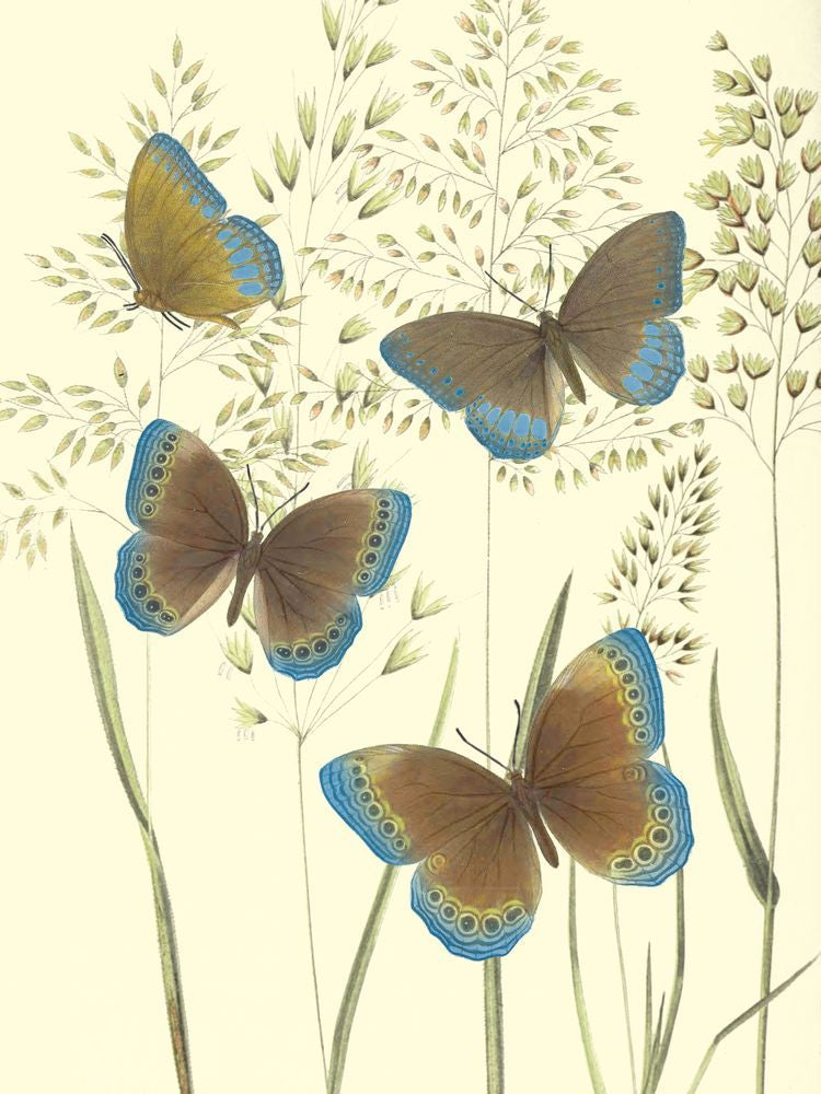 Mariposas 1 artwork