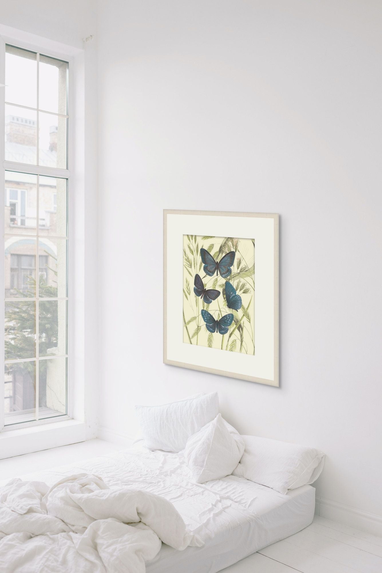 Mariposas 5 in a room