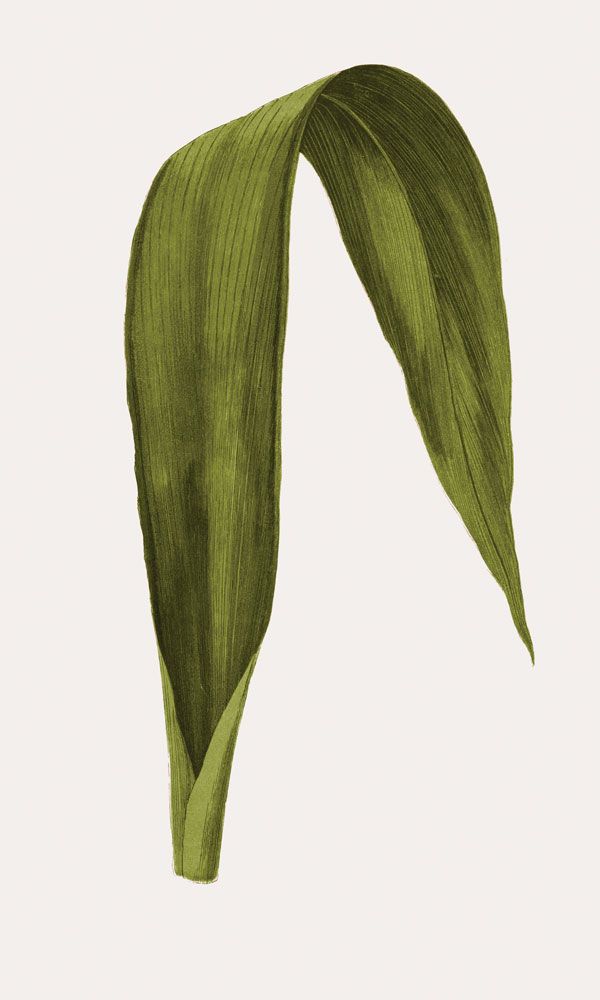 Neoteric Trace Green 1 artwork