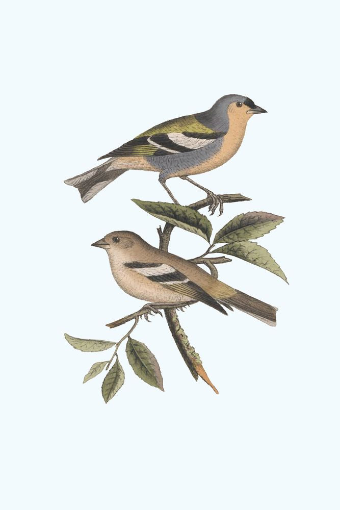 Nesting Navigators Blue 3 artwork