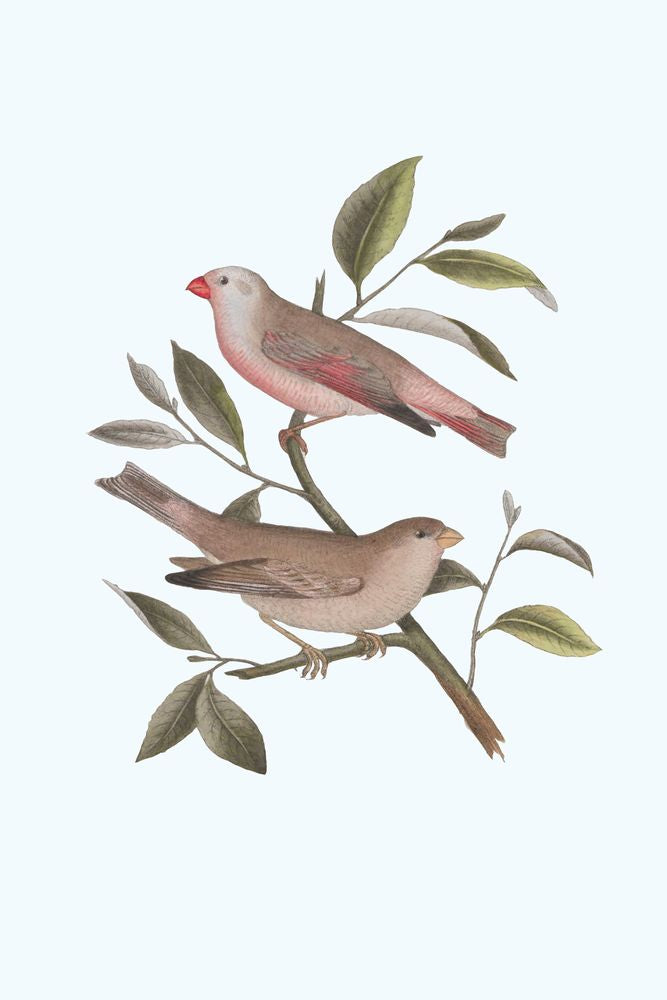 Nesting Navigators Blue 6 artwork