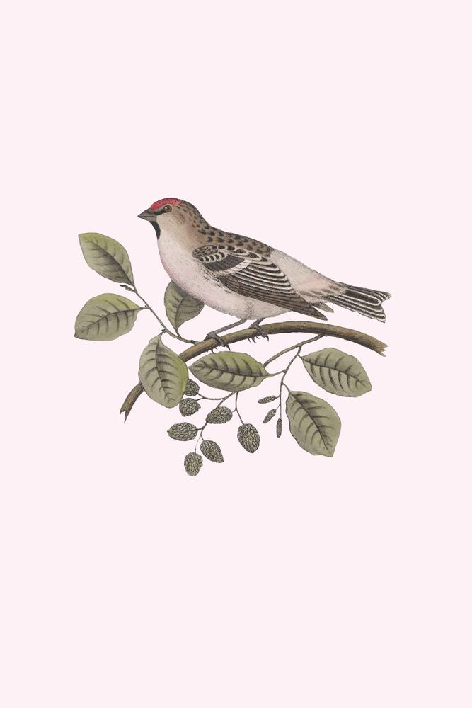 Nesting Navigators Pink 1 artwork