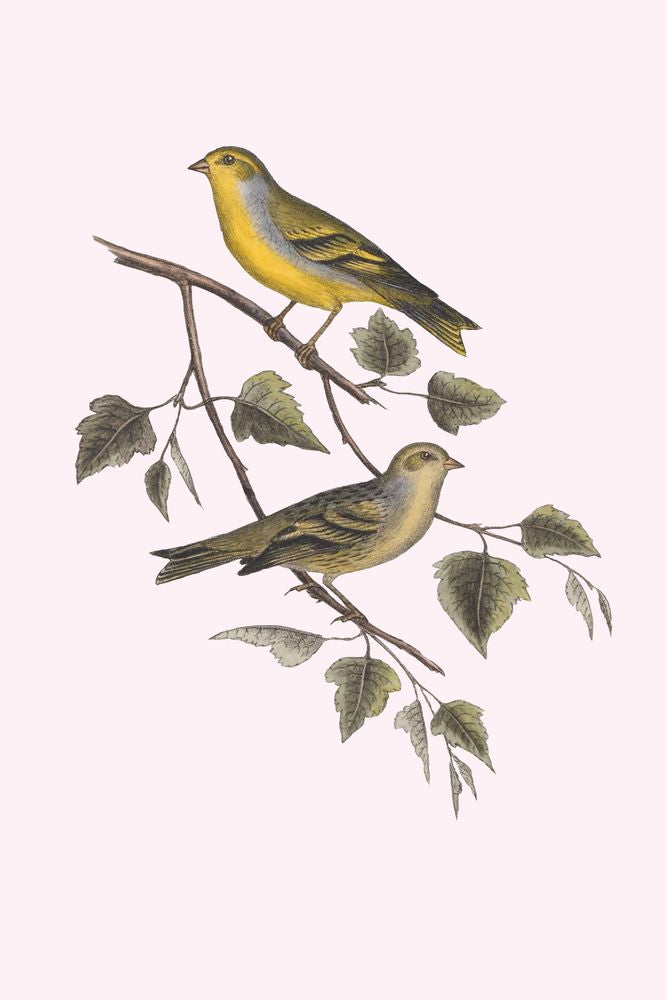 Nesting Navigators Pink 2 artwork