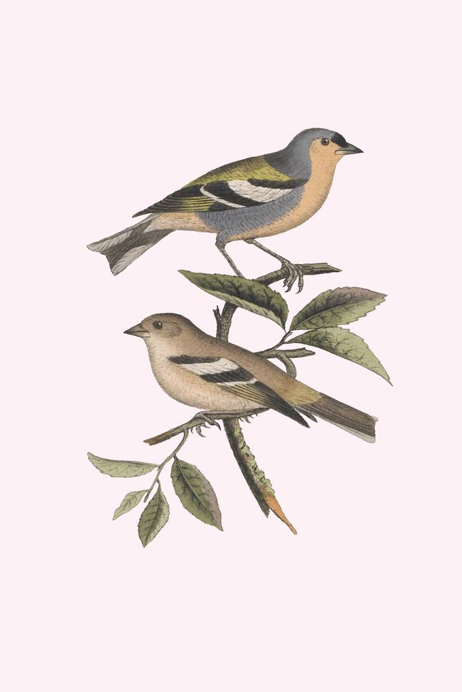Nesting Navigators Pink 3 artwork