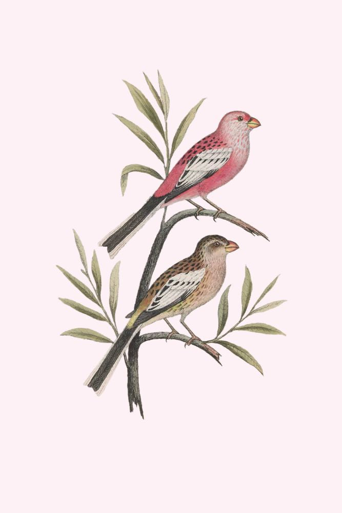Nesting Navigators Pink 4 artwork