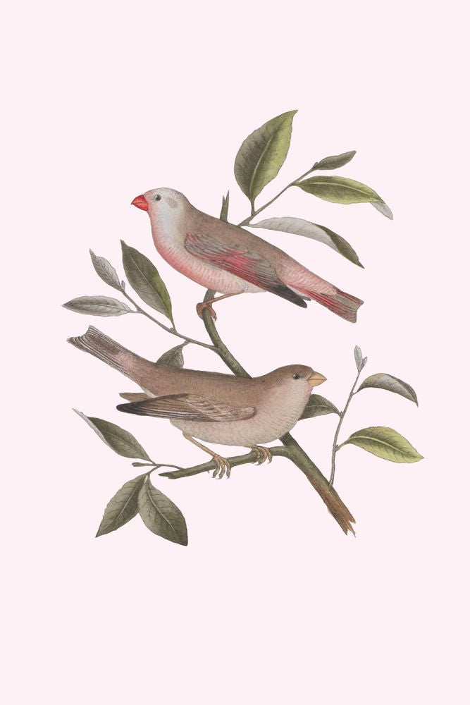 Nesting Navigators Pink 6 artwork