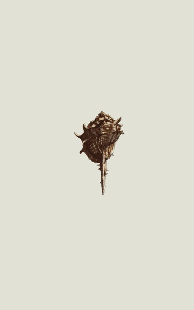 Petite Fortress 5 artwork