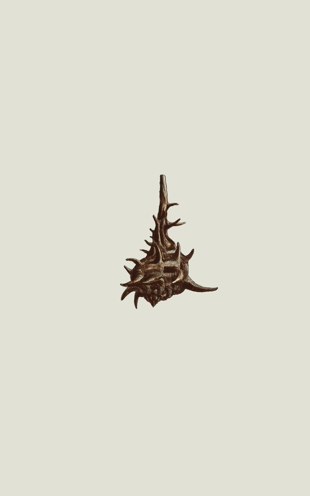 Petite Fortress 6 artwork