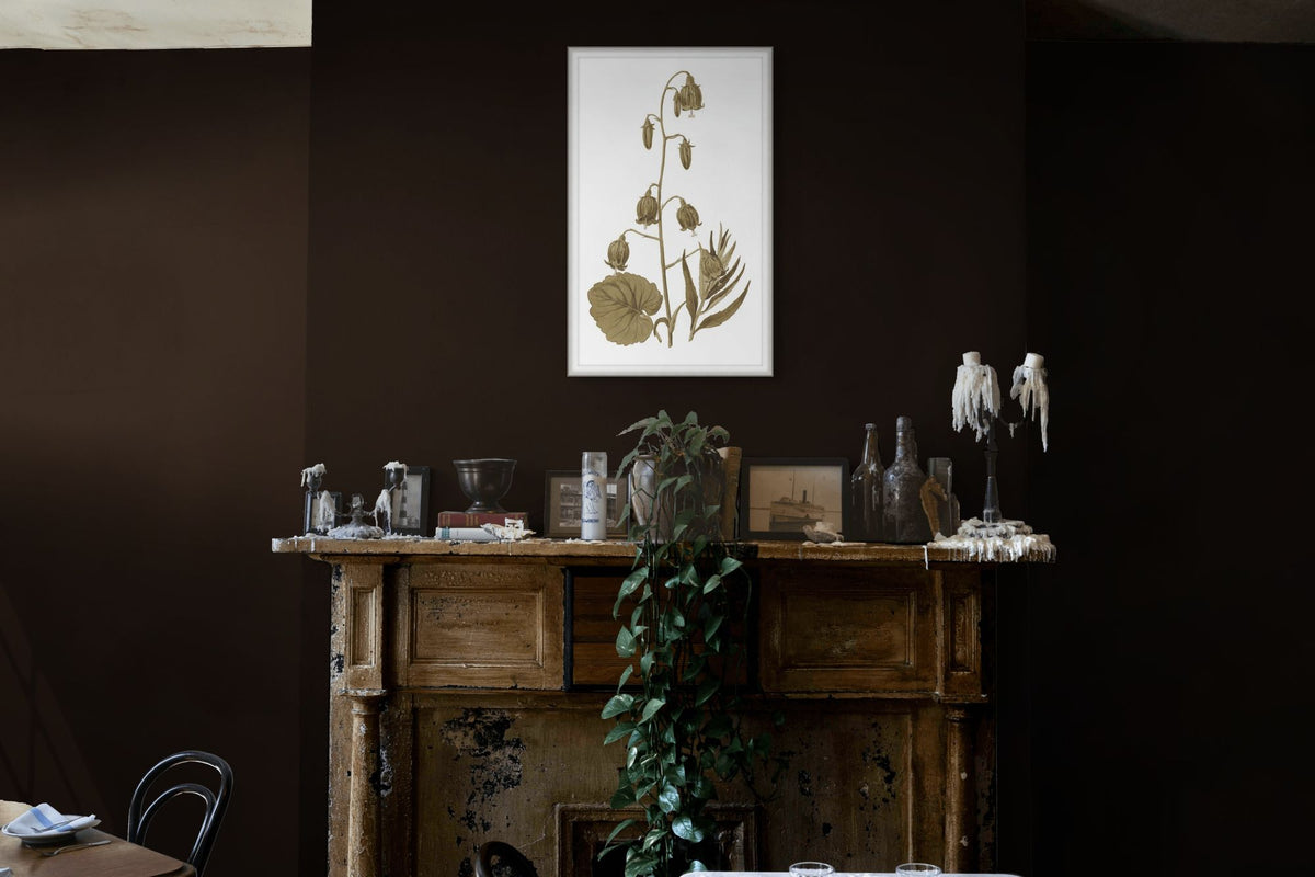 Sweet Preservation 2 — in situ